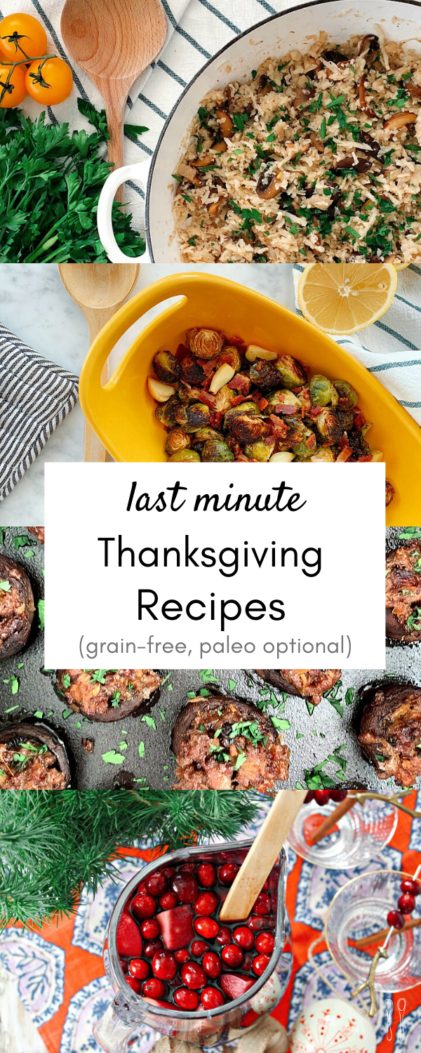 Here is your one stop guide for last minute Thanksgiving recipes! Paleo optional, grain-free and absolutely mouthwatering!