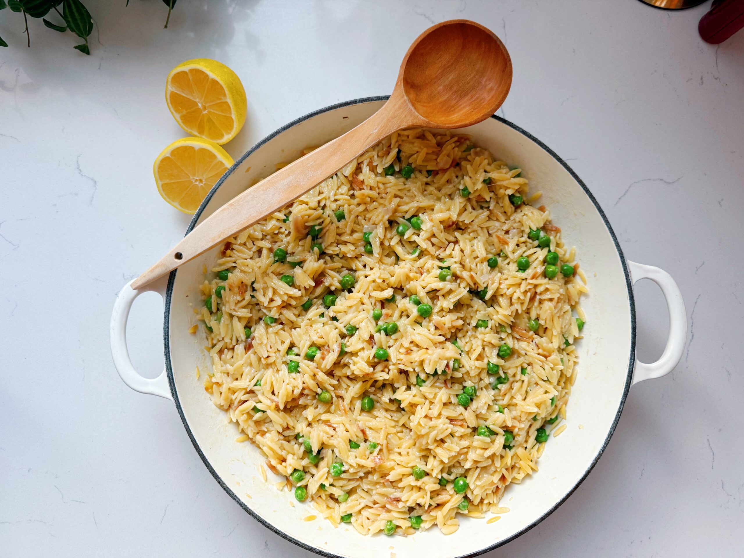 The Pasta of Summer: Lemony Orzo Pasta with Shaved Parmesan!
